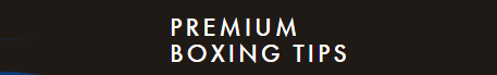 premium-boxing-tips-review