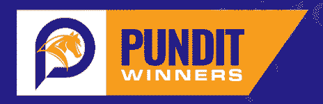 pundit-winners-review
